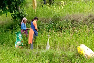 Organic Farming in Pauri