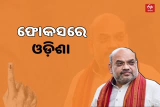 BJP plans for 2024 election