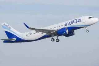 Indigo Flight