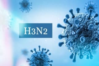 H3N2 Virus