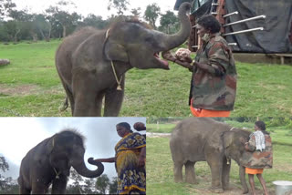 Tribal couple open up about The Elephant Whisperers Oscar win