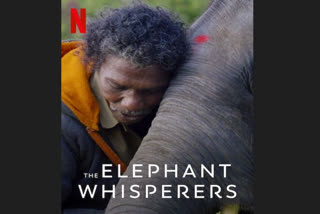 The Elephant Whisperers