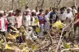 khandwa 14 forest mafia arrest