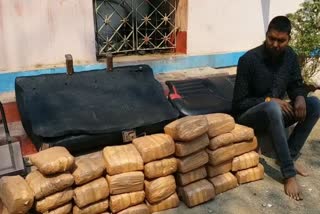 cannabis seized from berhampur