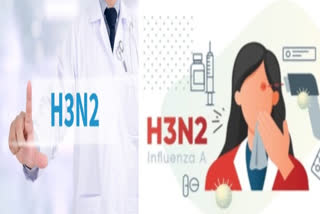 KNOW EVERY ANSWER FROM EXPERT ABOUT H3N2 VIRUS