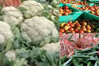 Vegetables price in Solan today