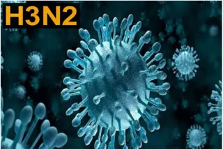 H3N2 Virus