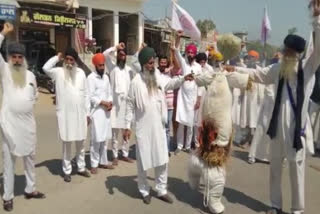 Kisan Mazdoor Sangharsh Committee burnt effigies of Punjab Government