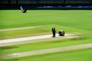 Indore Holkar Stadium Pitch