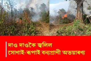 Massive fire break out at SonaI Rupai wildlife century