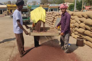 punhana grain market