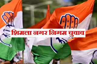 MC Shimla Election