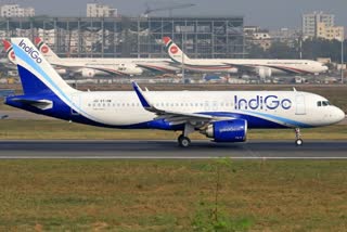 indigo flight