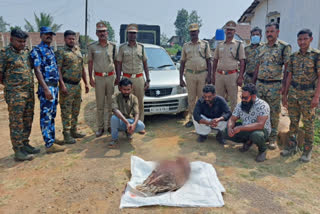 porcupine died after being hit by a car police arrested three people for kidnapping