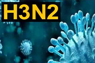 Medical student 'dies' due to H3N2 in Ahmednagar