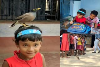 bengali-girl-friendship-and-love-with-bird-in-west-bengal