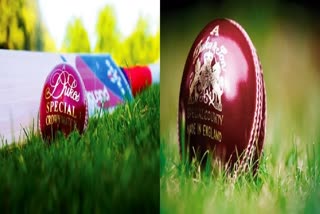 Ball Used in International Cricket : વર્લ્ડ ટેસ્ટ ચેમ્પિયનશિપ પહેલા આ બોલથી પ્રેક્ટિસ કરશે ટીમ ઈન્ડિયા