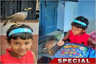 girl and bird friendship