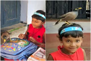 A Bird and Girl A small tale of Love  starling bird  bond between bird ang girl  west Bengal story  national news  malayalam news  ദേശീയ വാർത്തകൾ  മലയാളം വാർത്തകൾ  friendship between a bird and a girl  a bird and a girl in West Bengal  ankitha and midhu  അങ്കിതയും മിഥുവും  മിഥു എന്ന മൈന  മൈനയും പെൺകുട്ടിയും തമ്മിലുള്ള സൗഹൃദം  മലയാളം വാർത്തകൾ  മൂന്നാം ക്ലാസ് വിദ്യാർഥിനി അങ്കിത  മിഥു  മൈന