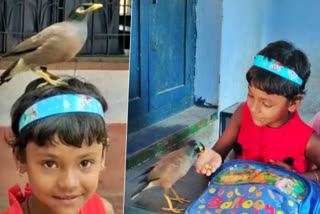 WILD BIRD FRIENDSHIP SCHOOL STUDENTS KANKSA PASCHIM BARDHAMAN WEST BENGAL