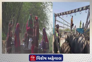 Kutch News : બન્નીના નાના સરાડા ગામના માલધારીઓની હિજરત, સરપંચ ખુદ પશુઓ સાથે ગામ છોડી ગયા