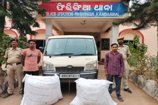 141 kg ganja seized