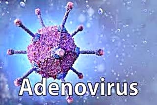 adenovirus