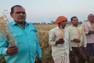 Farmers of Kawardha upset