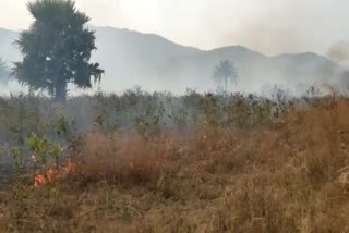 Fire In Jamui