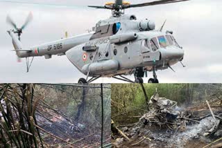 Indian Army Cheetah helicopter