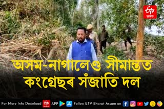Assam Nagaland border tense