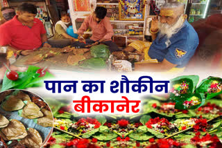 One Lakh Betel Leaves are Eaten Everyday