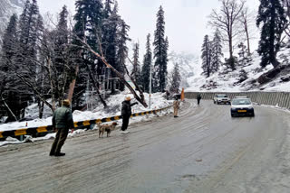 300 vehicles stuck due to snowfall in Atal Tunnel