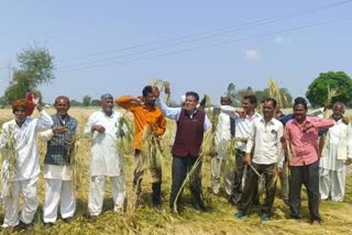 Sehore Farmers demanded compensation