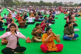 Yoga camp in Rajasthan university