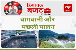 Policy for horticulturists in Himachal budget