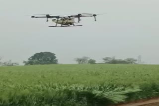 Spraying of nano urea through drone
