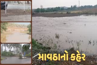 Unseasonal Rain: વરસાદથી લોકોએ તો ઠંડક અનુભવી પણ ખેડૂતોએ રોવાનો વારો આવ્યો, હજી 19મી સુધી આગાહી