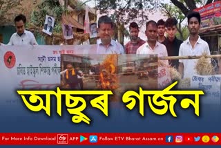 AASU Protest in Assam