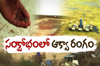 తీవ్ర సంక్షోభంలో ఆక్వా రంగం