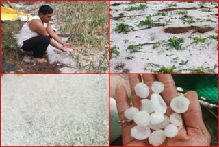 Hail In North Maharashtra