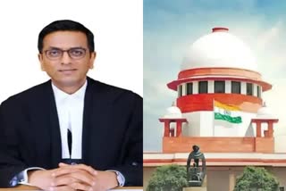 cji chandrachud on collegium