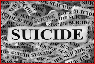 students suicide