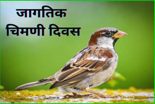 World sparrow day