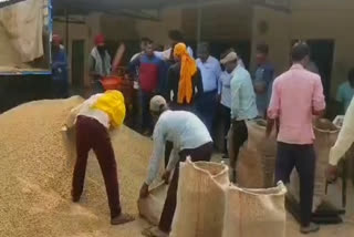 Paddy scam in Khatima