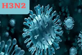 H3N2 Influenza Virus