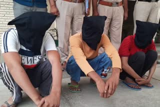 Interstate gang arrested in Sirsa