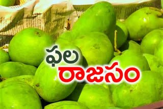 mango exports begin at nunna market