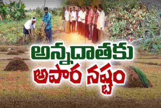 Farmers lost due to rains