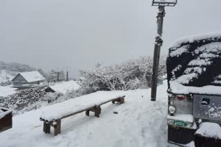 Sandakphu Snowfall
